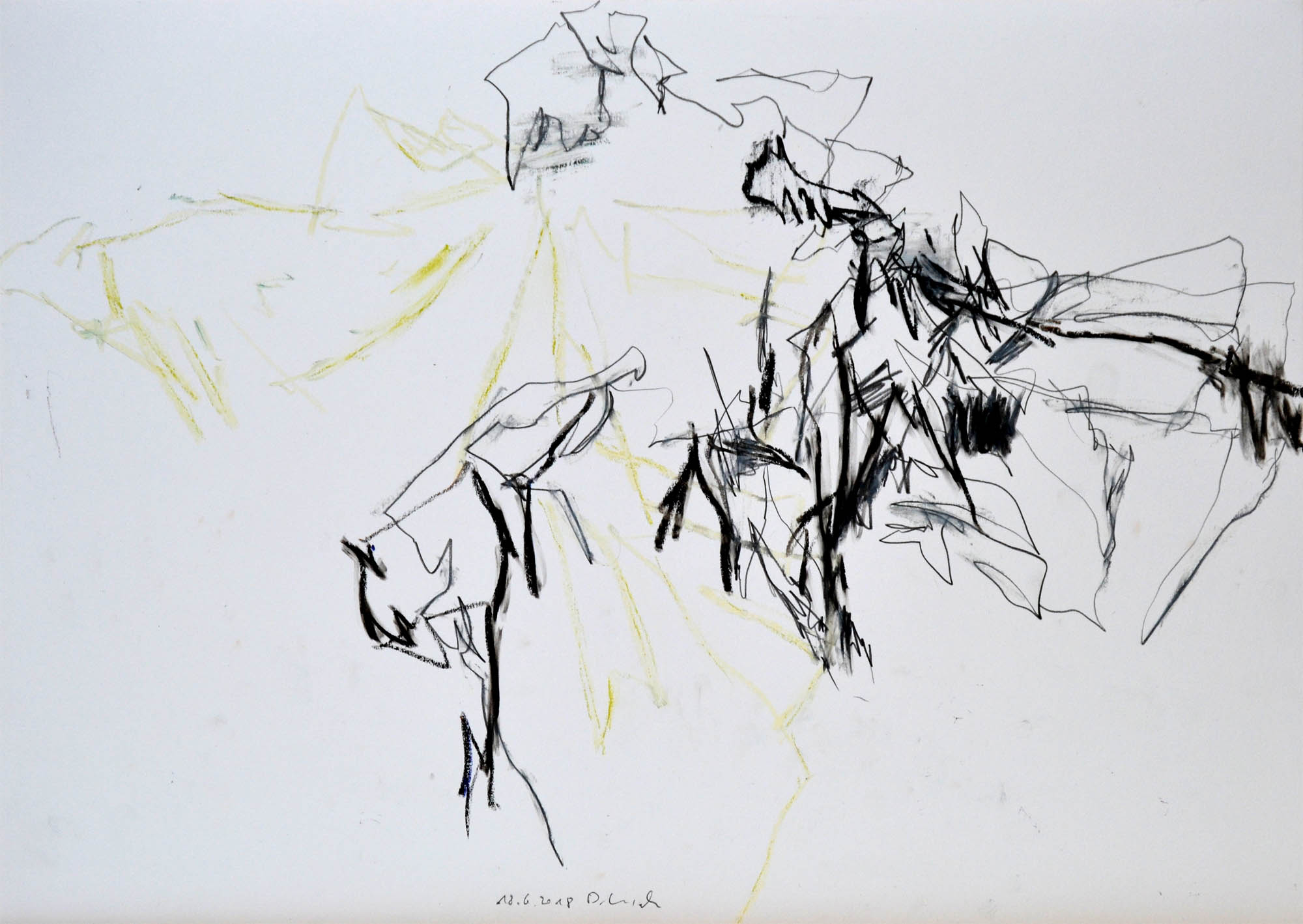 18. 6. 2018, Ölpastell und Bleistift auf Papier, 36,5 x 51 cm © Dieter Konsek