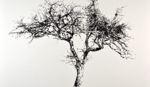 Baum, 18. 3. 2022, Ölpastell auf Papier. 70 x 100 cm © Dieter Konsek
