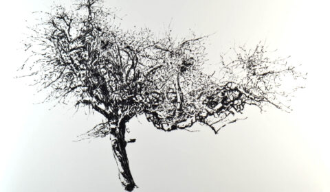 Baum, 20. 3. 2022, Ölpastell auf Papier, 70 x 100 cm © Dieter Konsek
