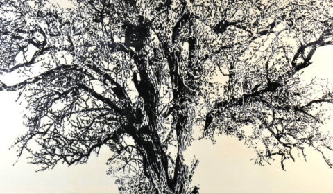 Birnbaum, 2022, Acryl auf Leinwand, 100 x 200 cm © Dieter Konsek