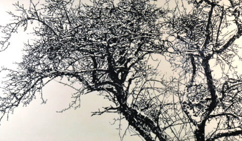 Baumkrone, 2022, Acryl auf Leinwand, 100 x 2ß0 cm © Dieter Konsek